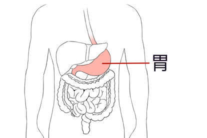守护胃肠健康：从"肠"计议，"胃"来可期