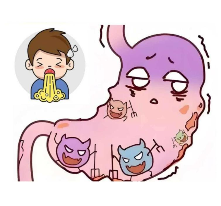 大鱼大肉后,小心急性胃炎!