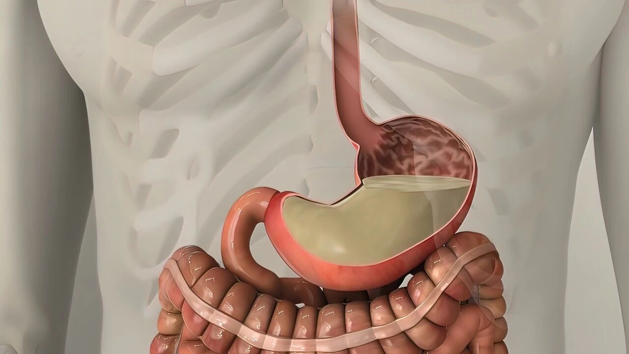 了解胃炎知识